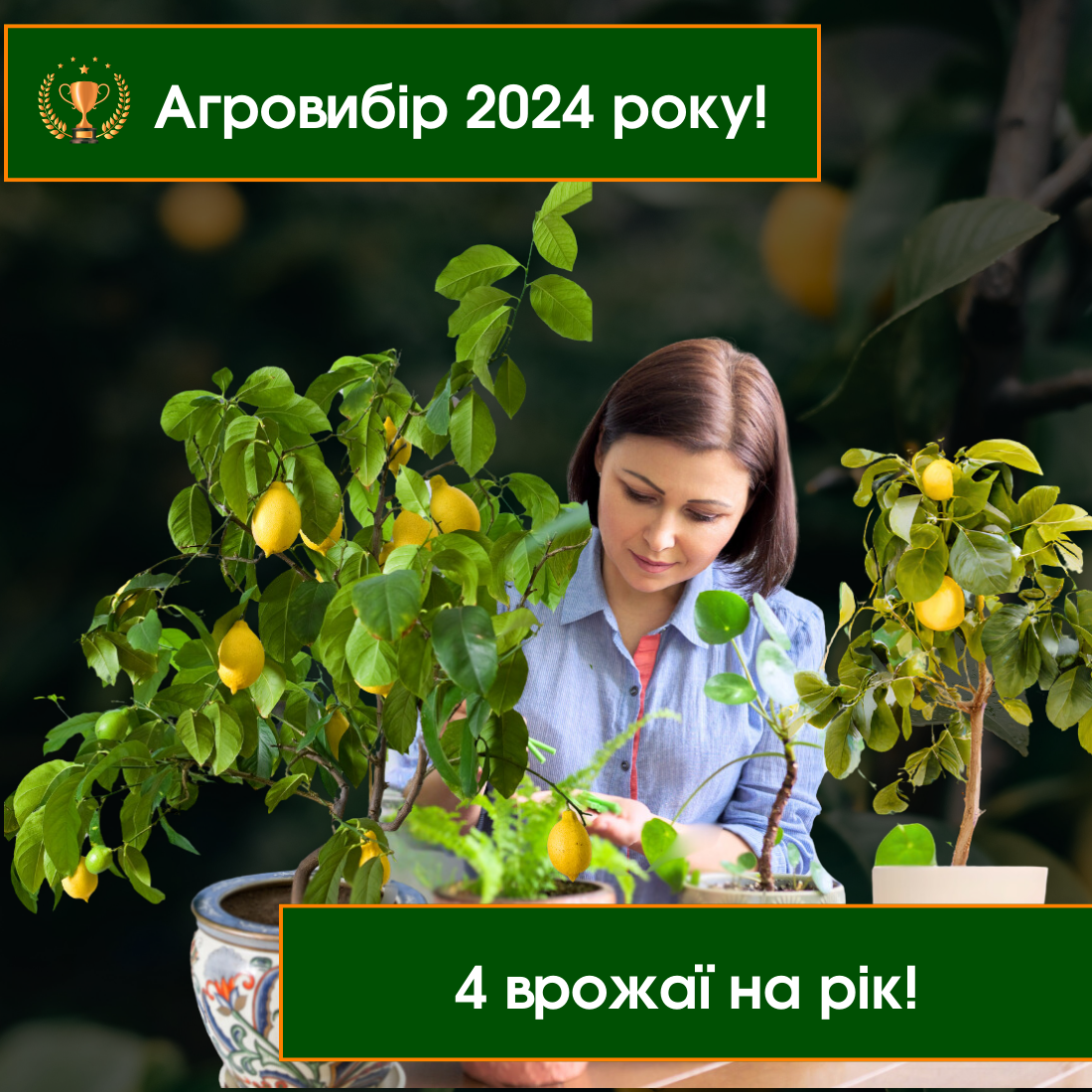Заголовок