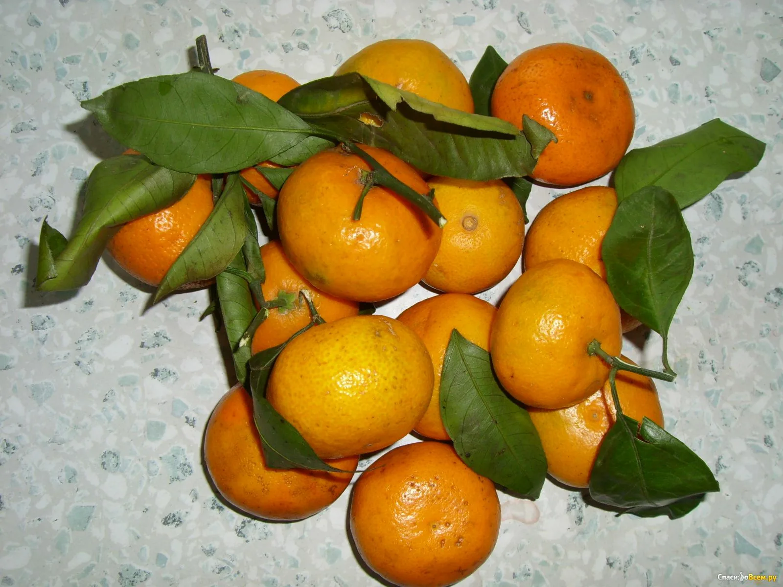 Заголовок