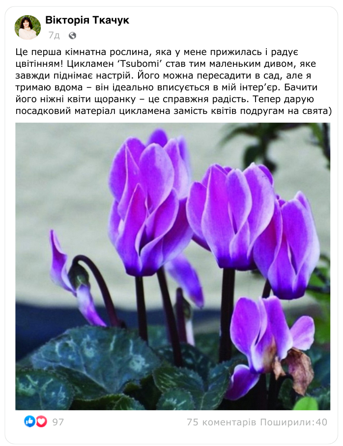 Заголовок