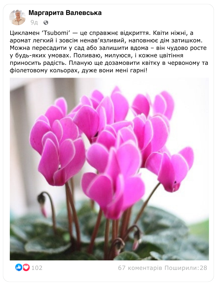 Заголовок