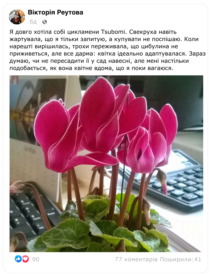 Заголовок