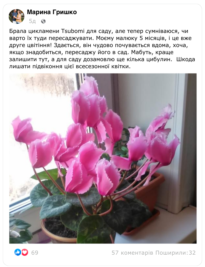 Заголовок
