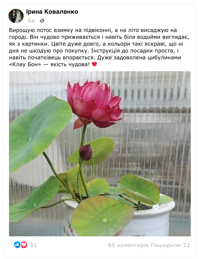 Заголовок