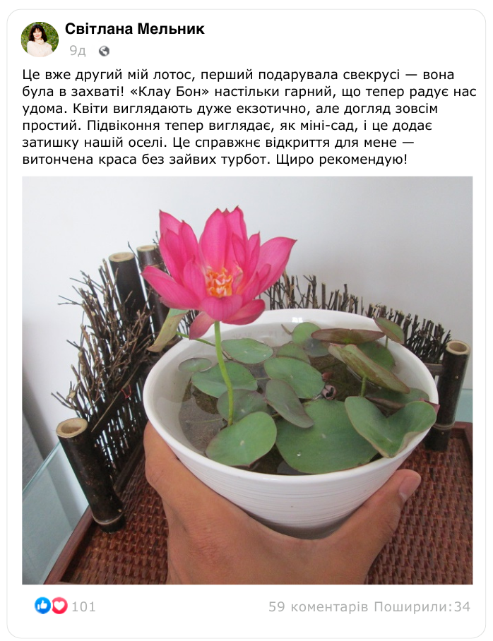 Заголовок