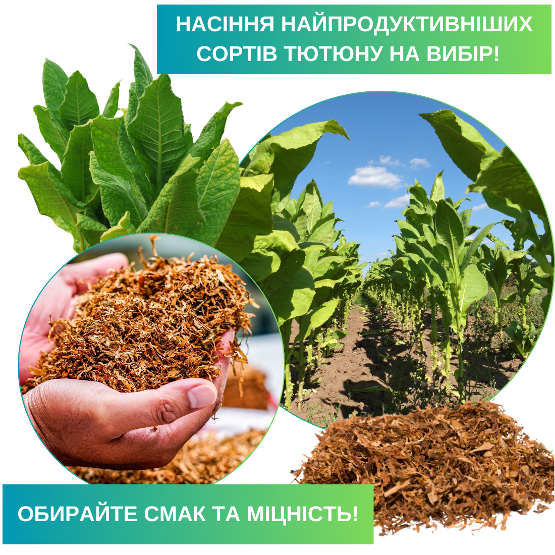 Заголовок