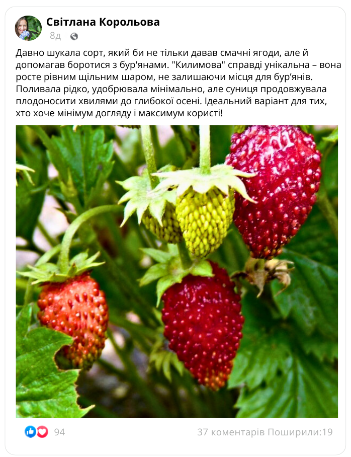 Заголовок
