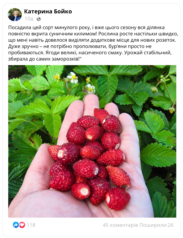 Заголовок