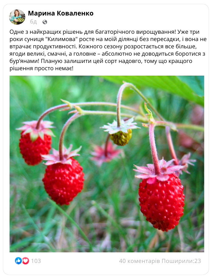 Заголовок