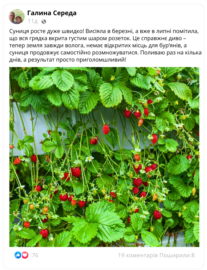 Заголовок