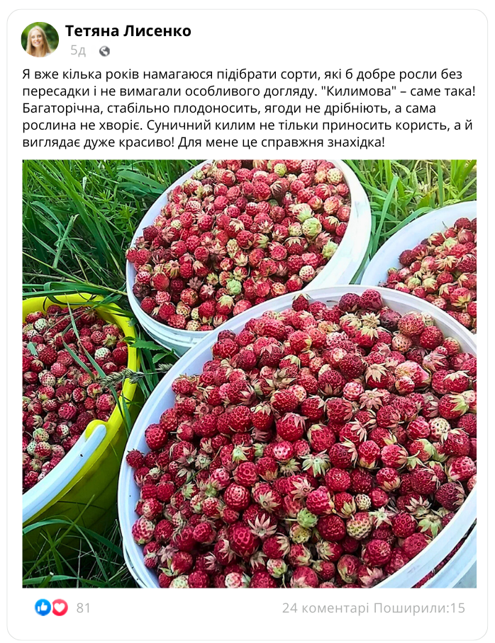 Заголовок