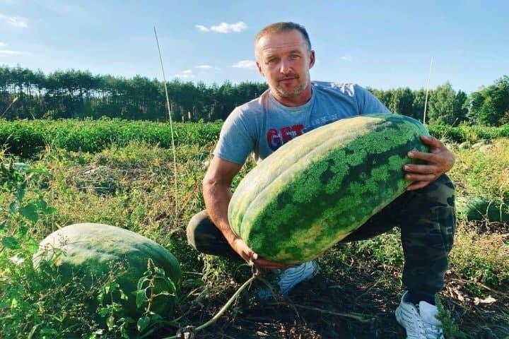 Заголовок
