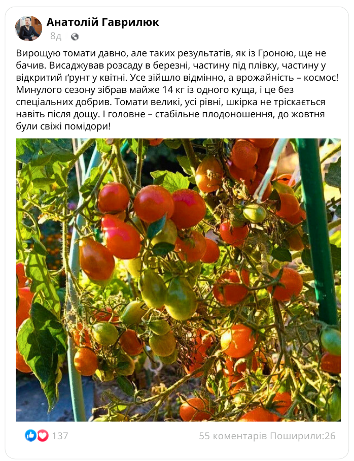 Заголовок