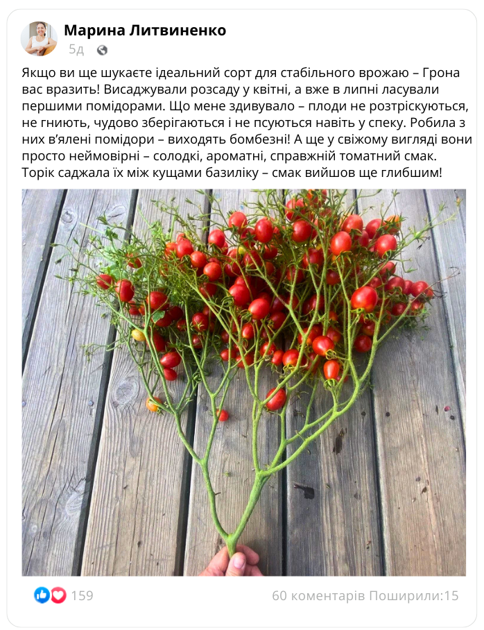 Заголовок