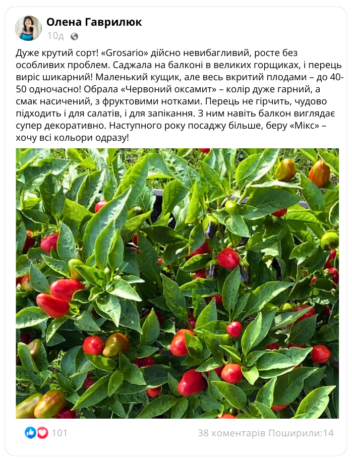 Заголовок