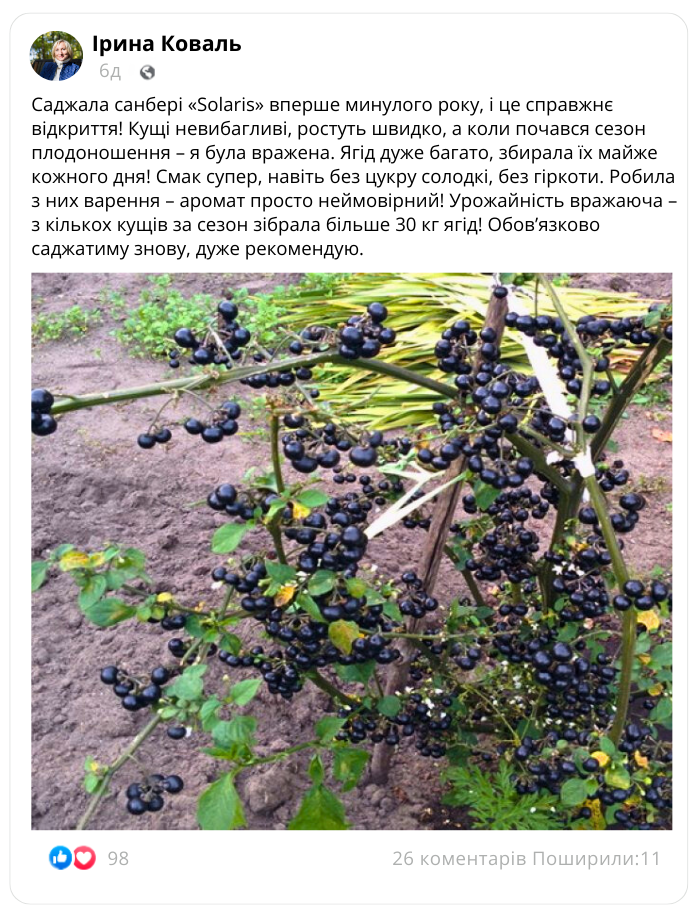 Заголовок