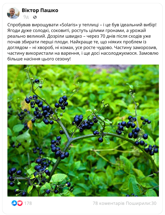 Заголовок
