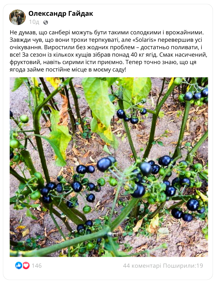 Заголовок