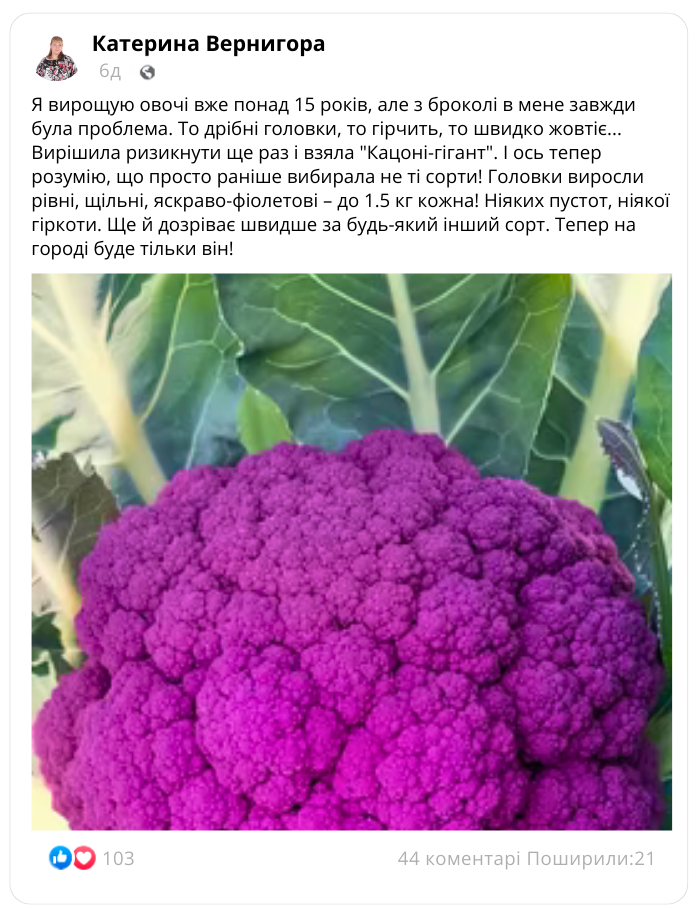 Заголовок