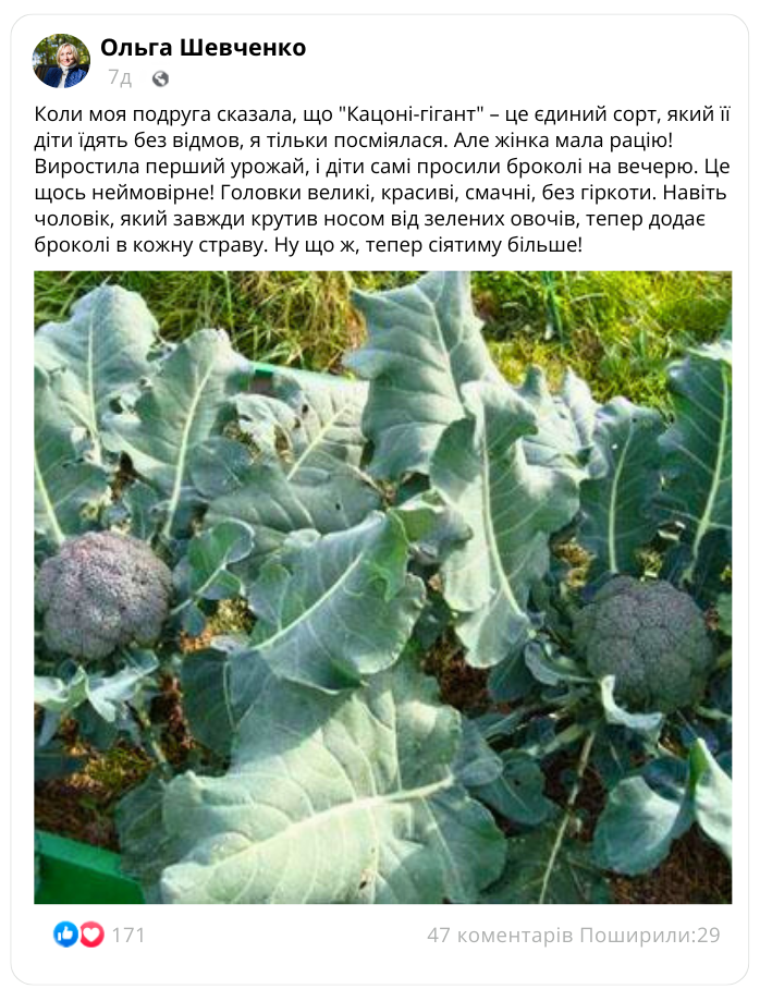 Заголовок