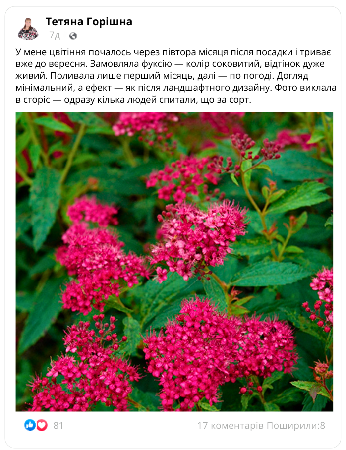 Заголовок