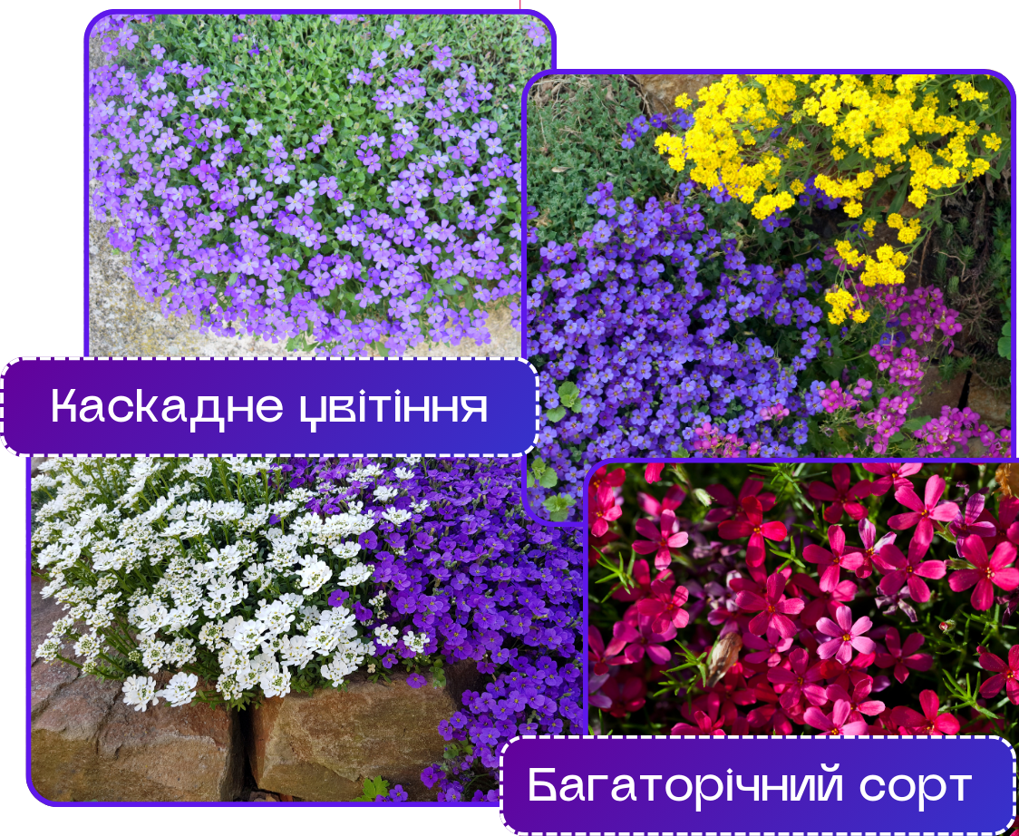 Заголовок
