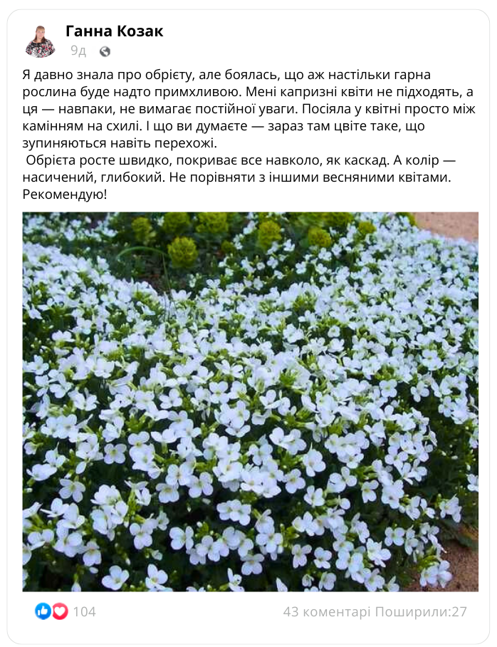 Заголовок