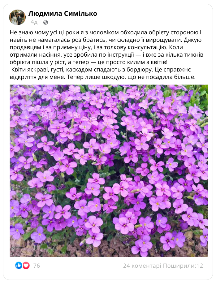 Заголовок