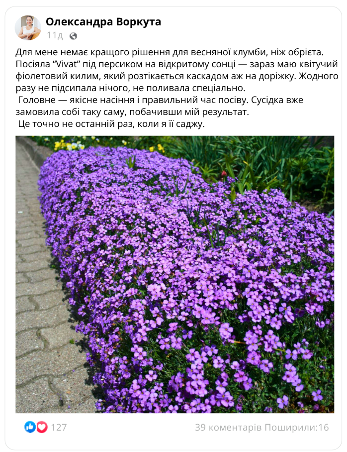 Заголовок