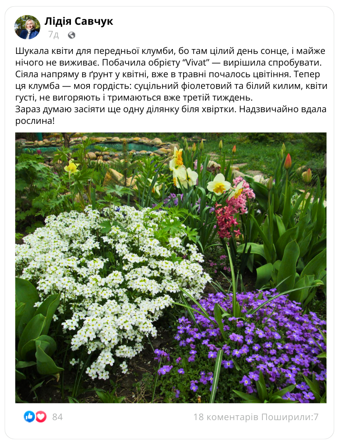 Заголовок