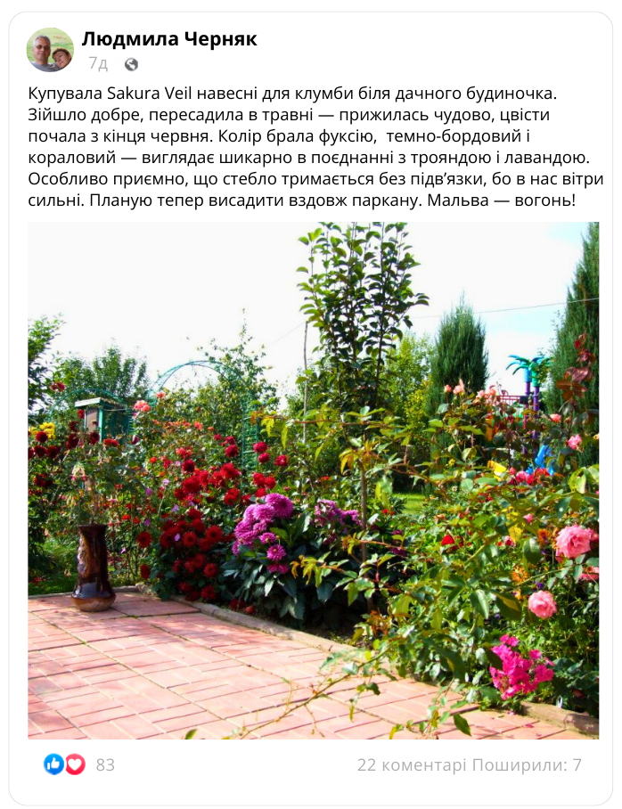 Заголовок