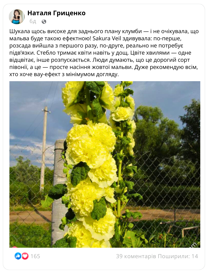 Заголовок