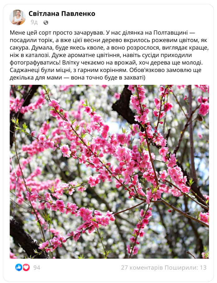 Заголовок