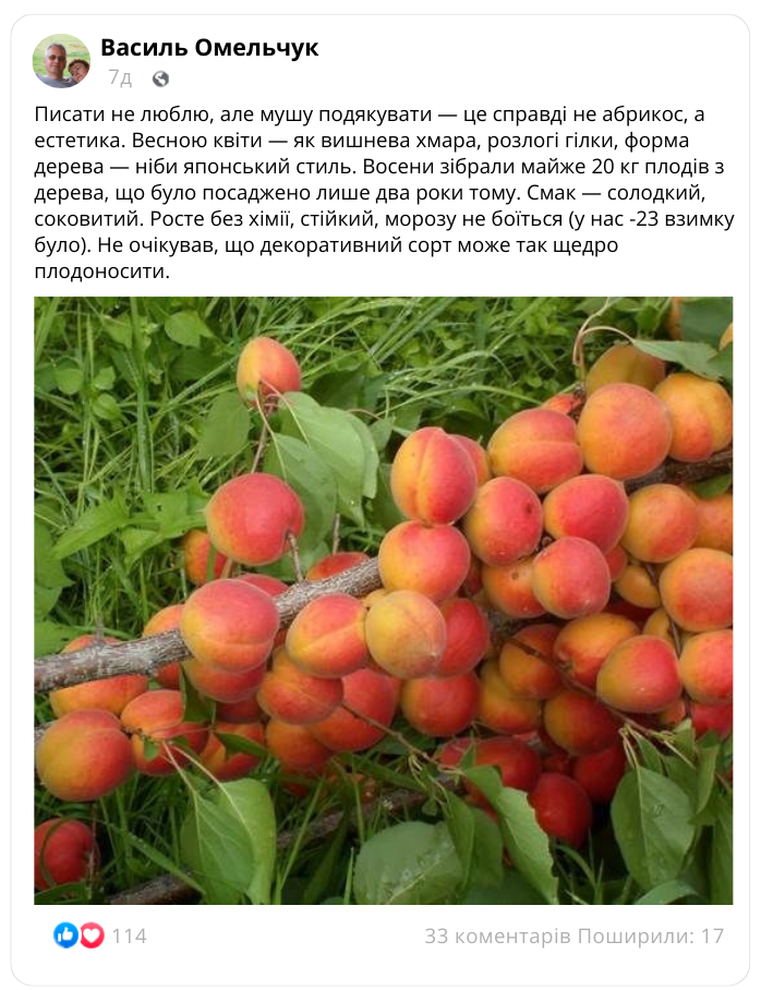 Заголовок