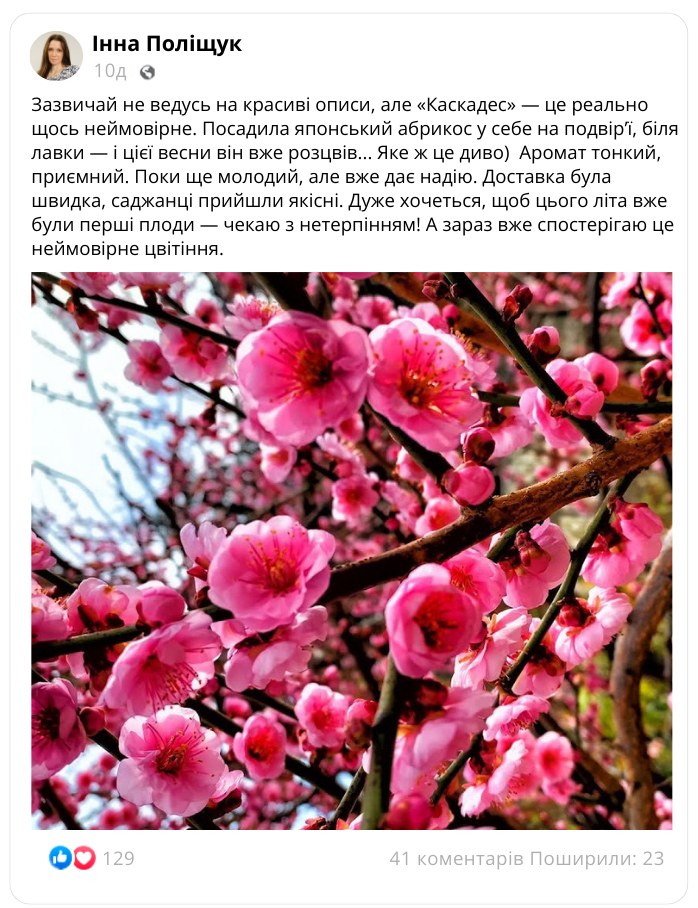 Заголовок