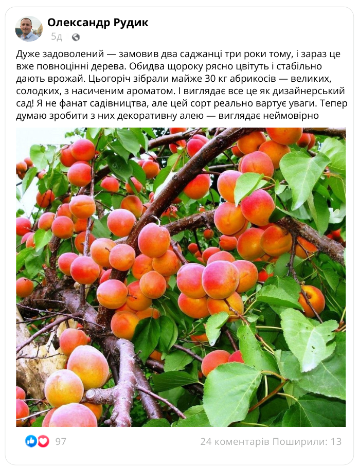 Заголовок