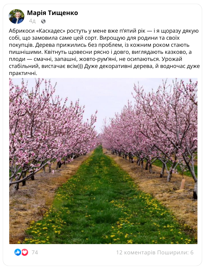 Заголовок