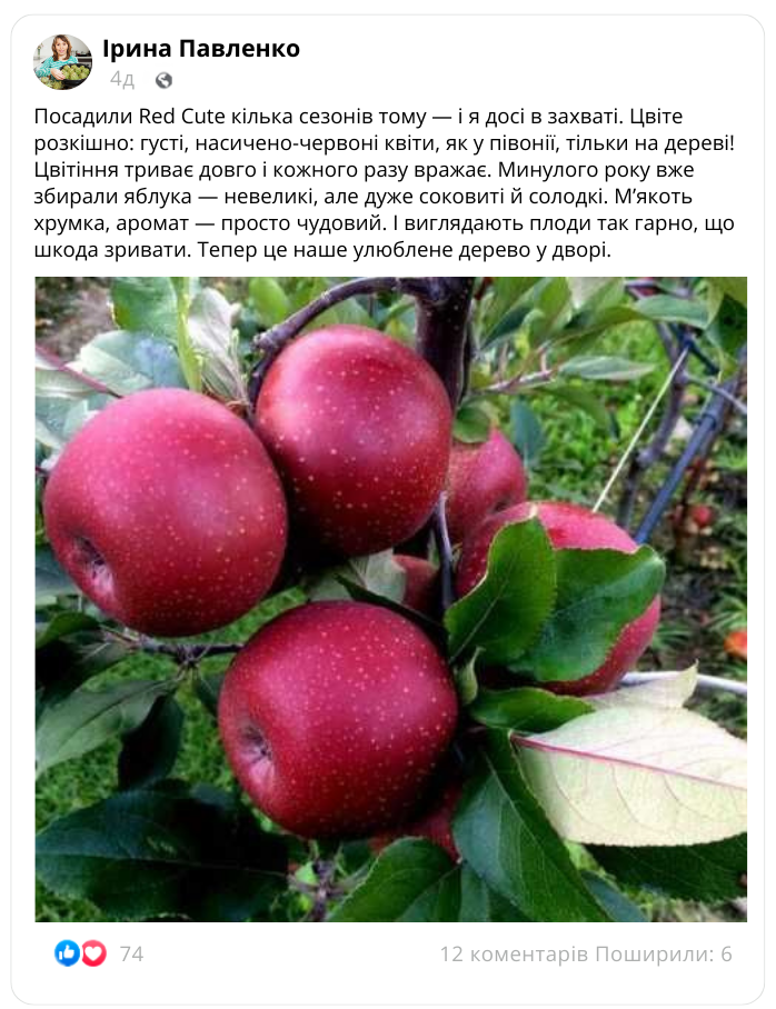 Заголовок