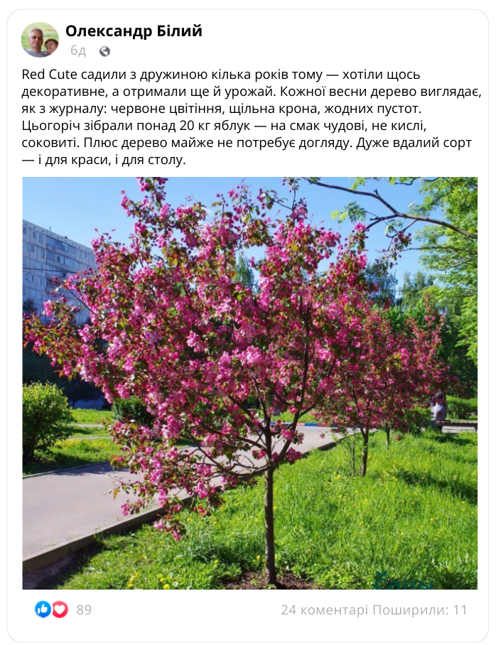 Заголовок