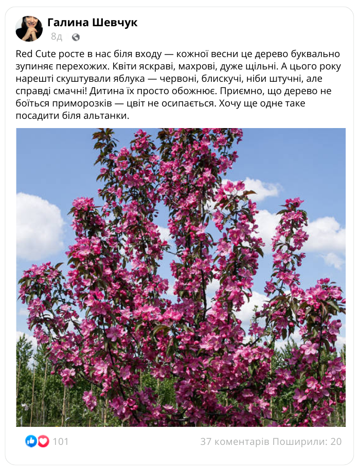 Заголовок