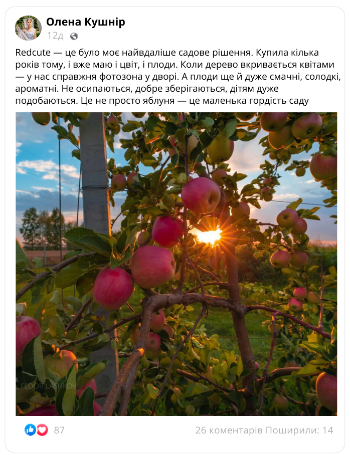 Заголовок