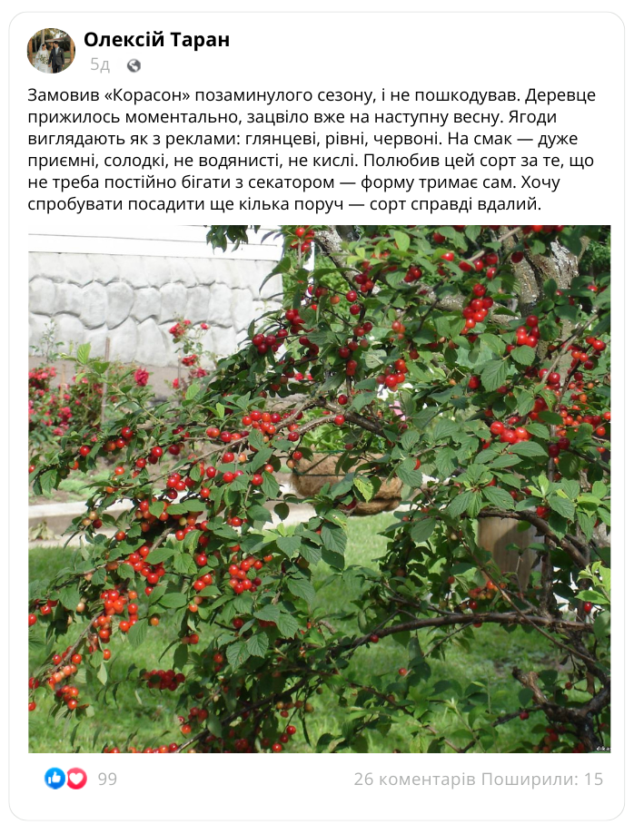 Заголовок
