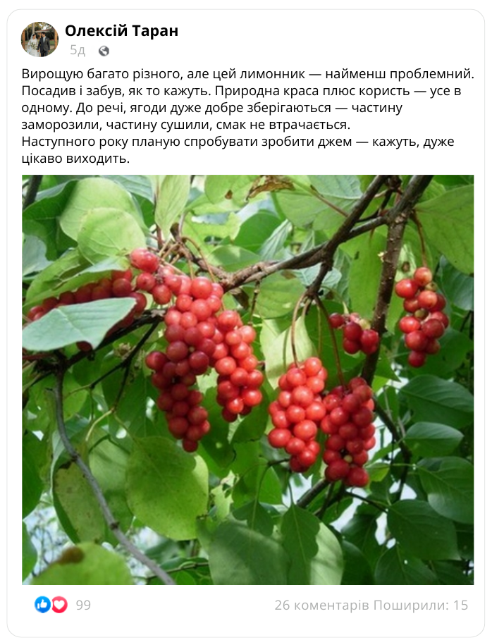 Заголовок