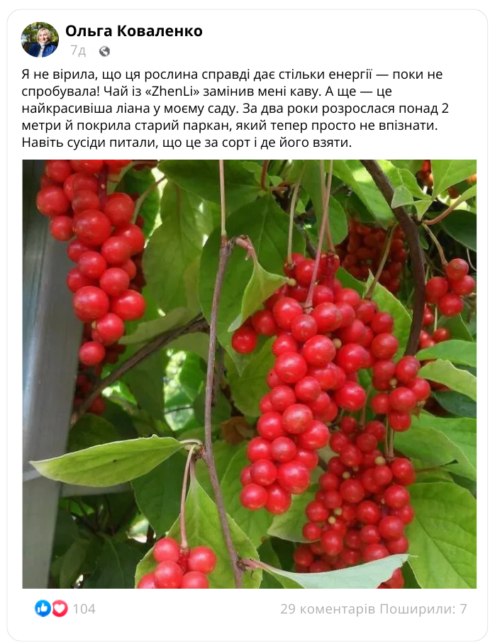 Заголовок