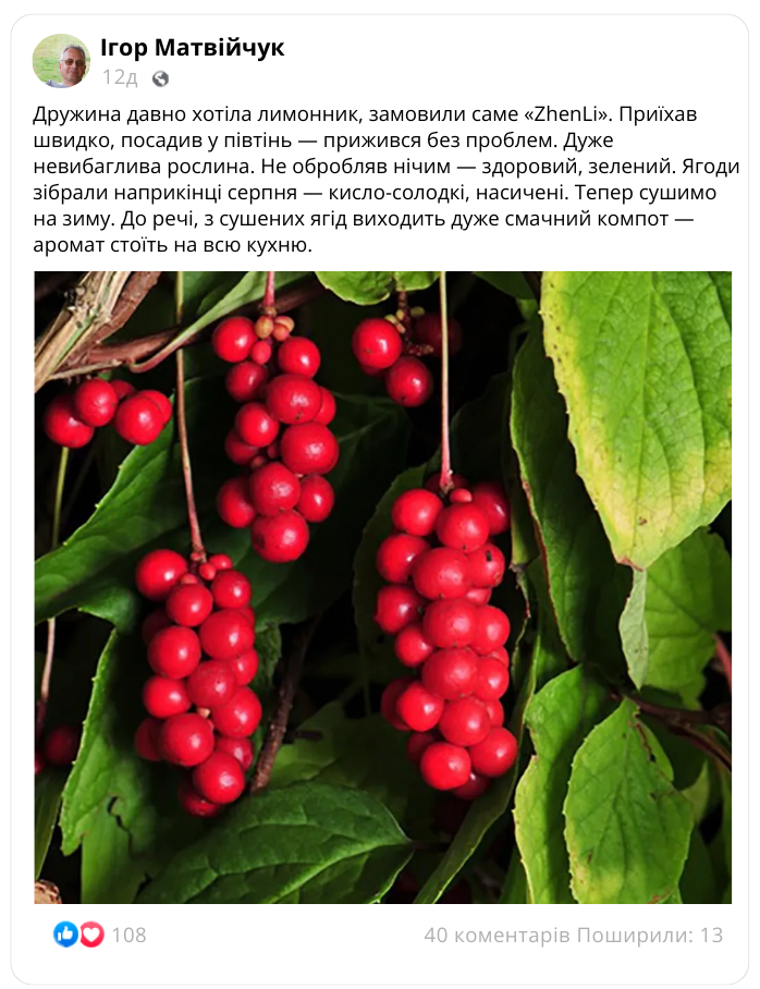 Заголовок