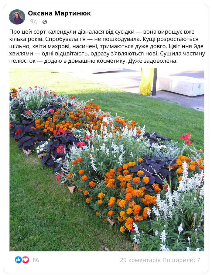 Заголовок