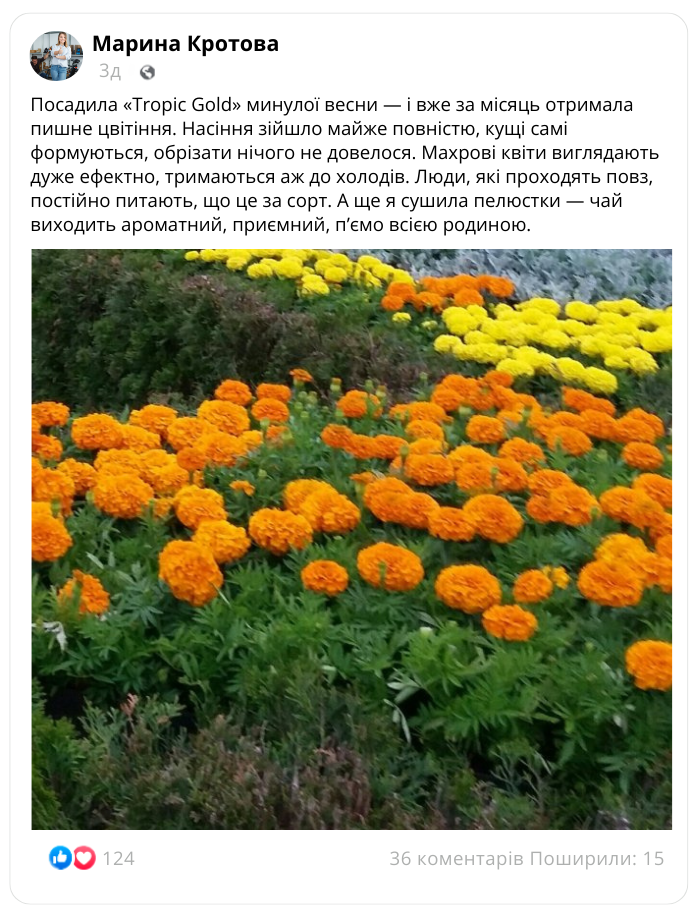 Заголовок