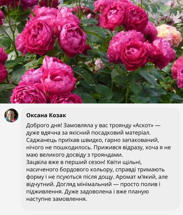 Заголовок