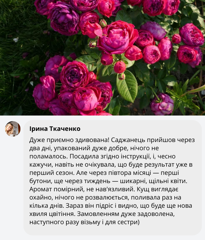 Заголовок