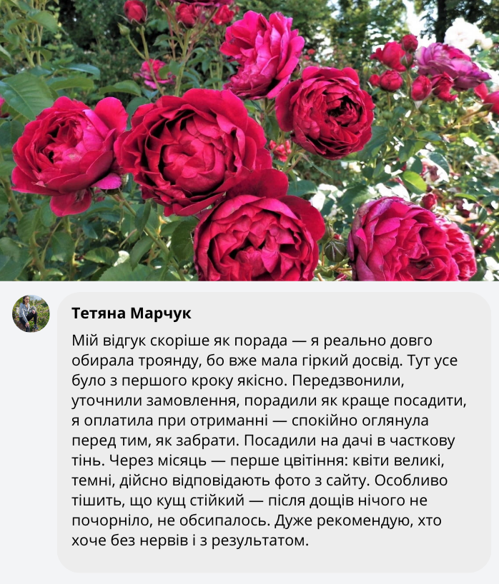 Заголовок