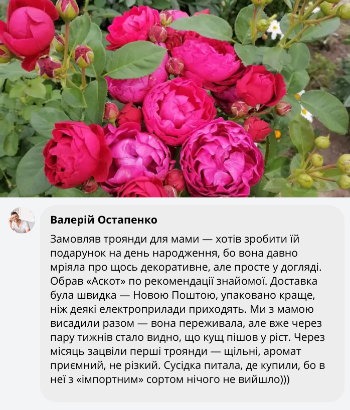 Заголовок